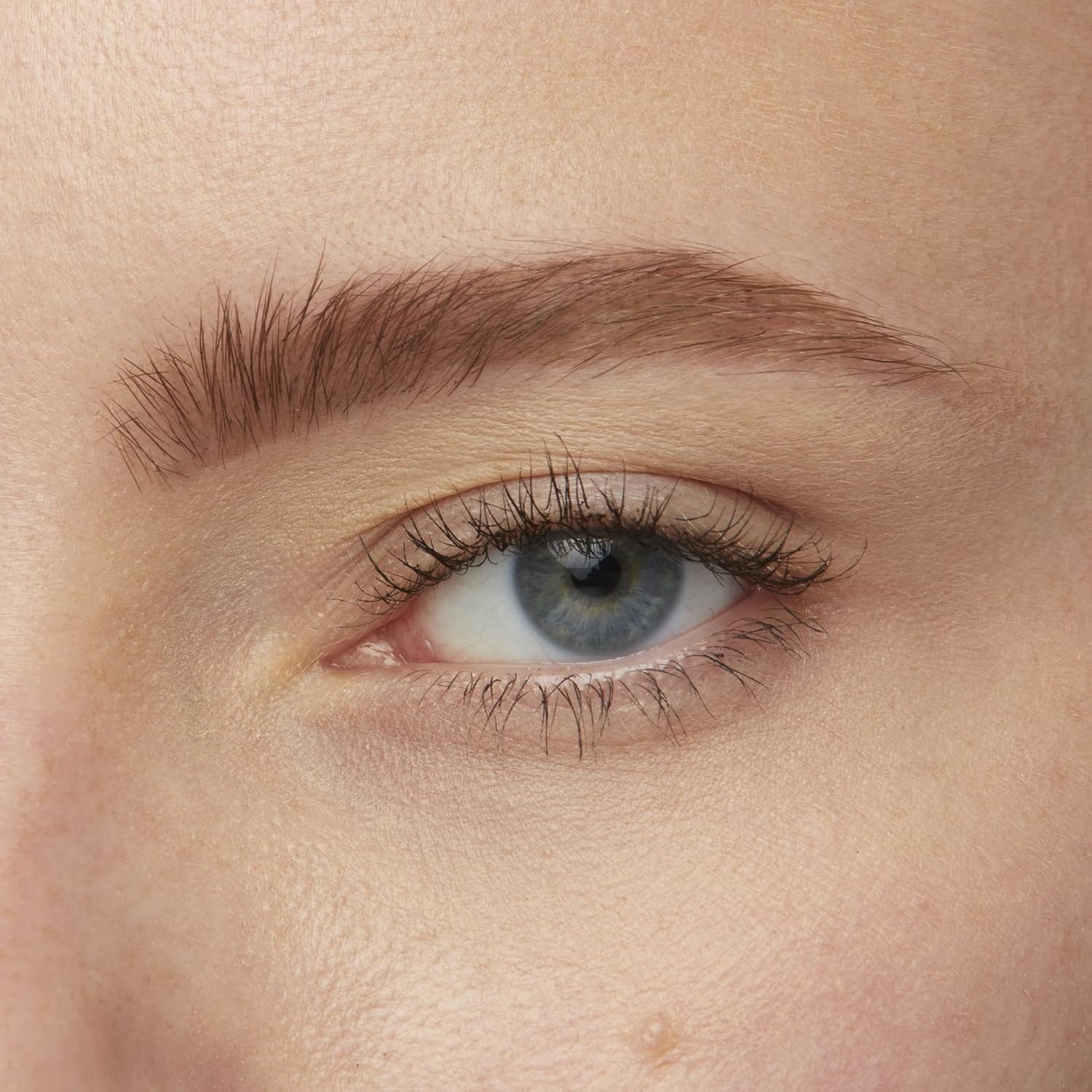 image:imageMaybelline New York Augenbrauenfarbe fr 3 Tage Halt Medium Brown 5mlNr 1 Light Brown