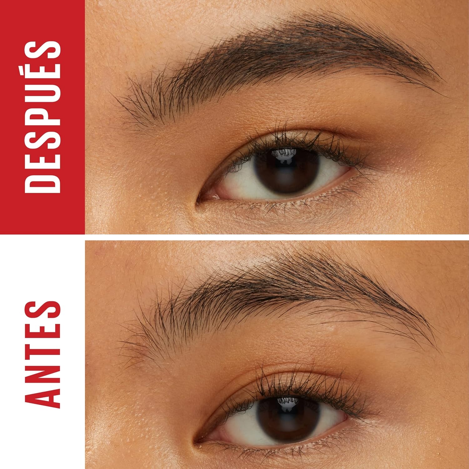 image:imageMaybelline New York Augenbrauengel Fr dichter aussehende und geformte Augenbrauen Wischfest und wasserfest Tattoo Brow 36H Styling Gel Nr 250 Blonde 6 mlNr 260 Deep Brown