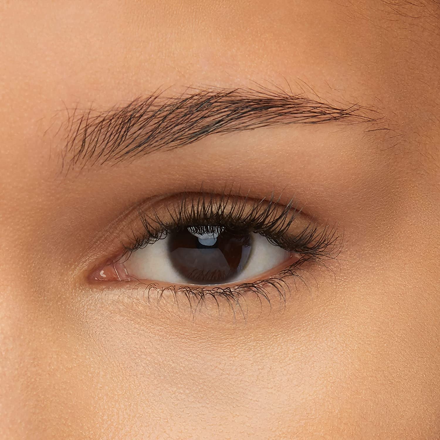 image:imageMaybelline New York Express Brow Satin Duo Augenbrauenstift und puder in Nr 02 Medium Brown mittelbraunNr 04 Dark Brown