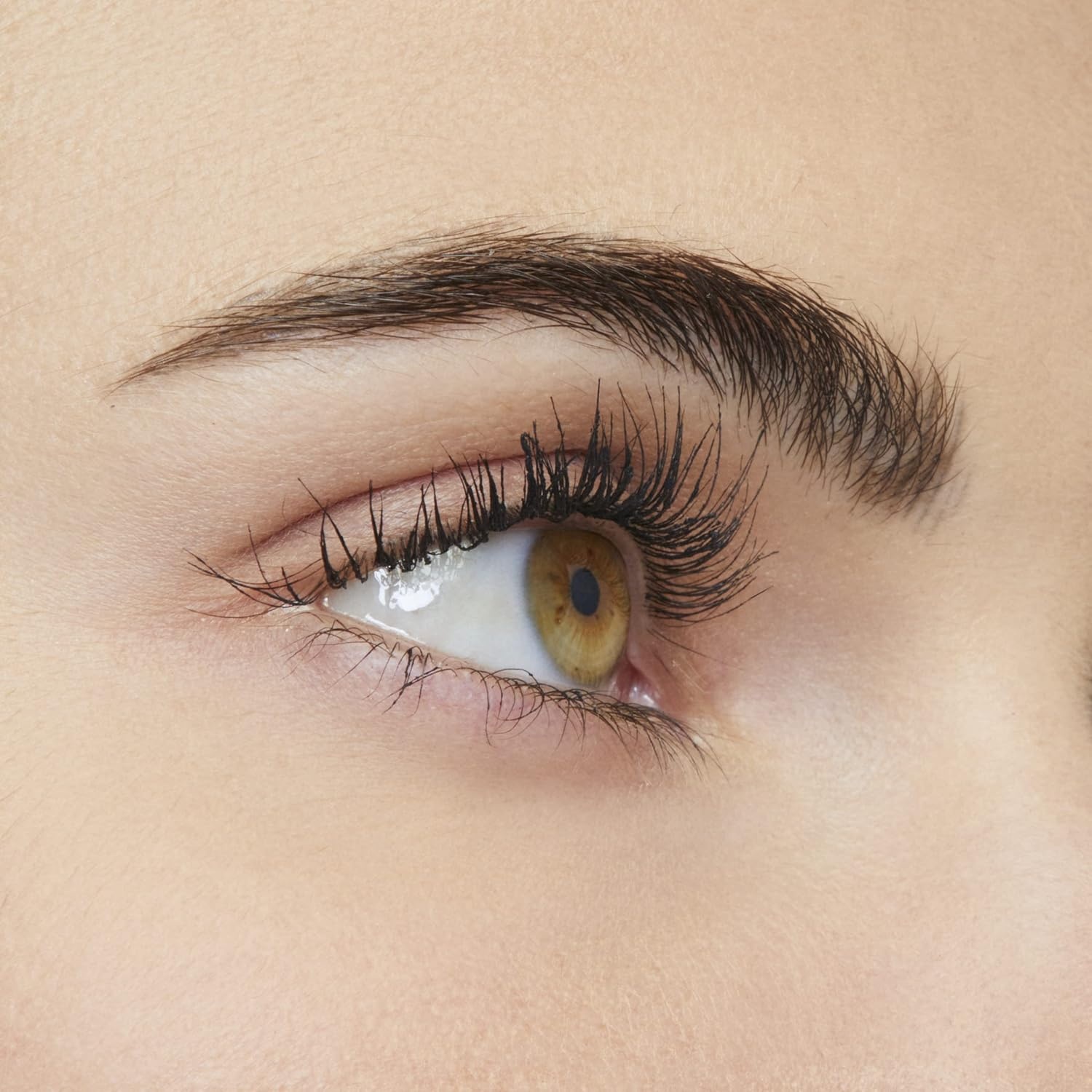 image:imageMaybelline New York Schwarze Wimperntusche fr 24h Schwung und Volumen Mit Memory Curl Formel fr unvergessliches Augen Makeup Colossal Curl Bounce Mascara Very Black 1 x 10 mlVery Black